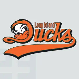 Long island ducks